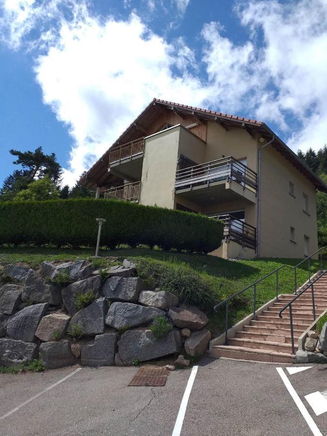 Le Lougo Apartment Gerardmer Exterior photo