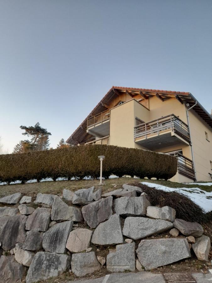 Le Lougo Apartment Gerardmer Exterior photo
